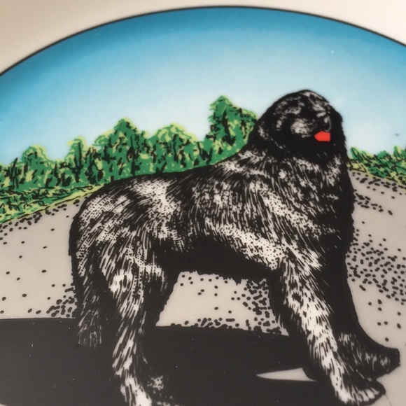Newfoundland dog plate - Picture 3 of 6